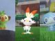 Pokémon Schwert & Schild: Der beliebteste Starter der 8. Generation steht fest