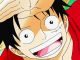 One Piece: Die Teufelsfrüchte von Chopper & Robin sehen verdammt seltsam aus