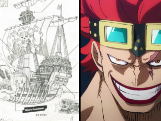 One Piece: So schick sehen die Schiffe der Supernovae aus