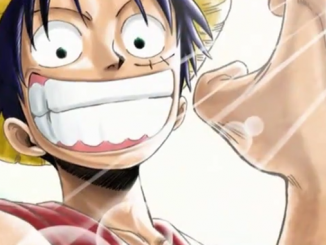 One Piece: 20 Jahre altes Detail macht die Fans sprachlos