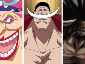 One Piece: Das wusstet ihr noch nicht über die Rocks-Piraten