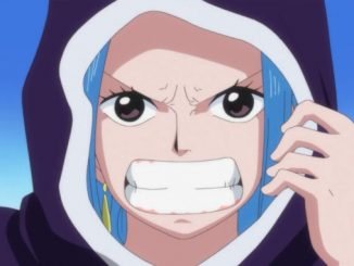 One Piece: Diese drei Charaktere befinden sich in großer Gefahr
