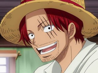 One Piece-Voting: Wer ist der stärkste Kaiser?