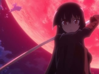 Akame Ga Kill! Staffel 2: Wann wird der Fantasy-Anime fortgesetzt?