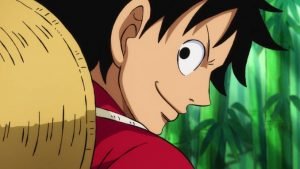 Schweres One Piece-Quiz für Hardcore-Fans