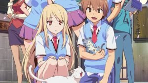 The Pet Girl of Sakurasou: Erhält der Anime noch eine 2. Staffel?