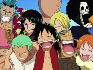 One Piece: Das sind die 100 beliebtesten Charaktere des weltweiten Votings