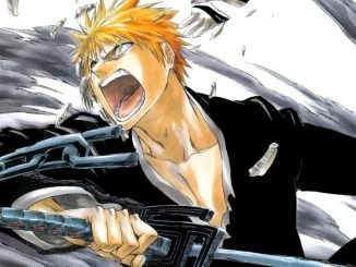 Bleach: Anime wird endlich fortgesetzt - doch wann erscheint Staffel 17?