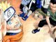 Naruto: So hoch ist das Vermögen von Manga-Zeichner Masashi Kishimoto