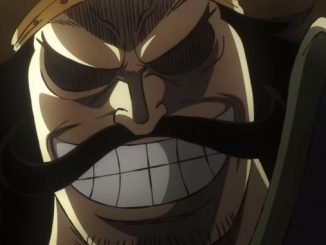 One Piece: Geleaktes Detail zieht neue Verbindung zwischen Gol D. Roger und Ace