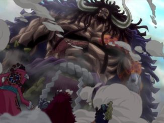 One Piece: 7 Charaktere, die Kaido einst besiegt haben könnten