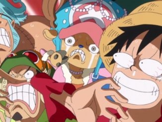 One Piece: Einer der mysteriösesten Charaktere lässt seine Maske fallen