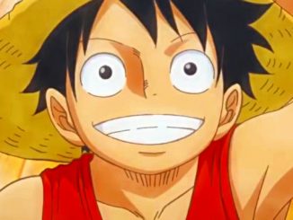 One Piece: Manga-Editor spricht über das größte Geheimnis der Serie