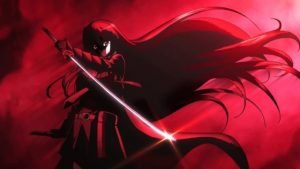 Welche Anbieter zeigen Akame Ga Kill! im legalen Stream?