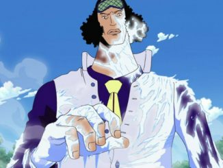 One Piece-Manga bestätigt Fantheorie über Kuzan