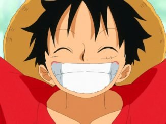 One Piece: Manga bringt verschollenes Mitglied der Strohhüte zurück